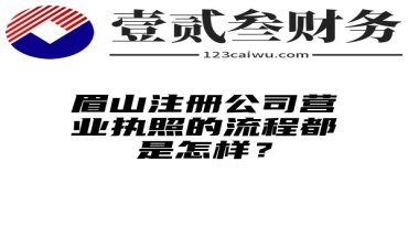 眉山注册公司营业执照的流程都是怎样？