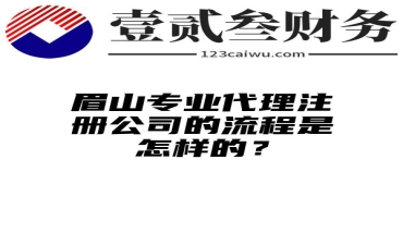 眉山专业代理注册公司的流程是怎样的？