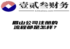 眉山公司注册的流程都是怎样？