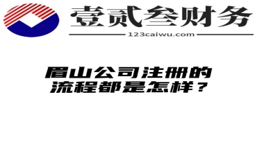 眉山公司注册的流程都是怎样？