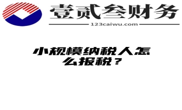 小规模纳税人怎么报税？