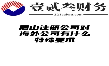 眉山注册公司对海外公司有什么特殊要求