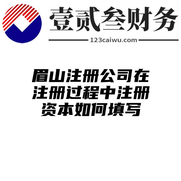 眉山注册公司在注册过程中注册资本如何填写