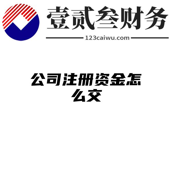 公司注册资金怎么交